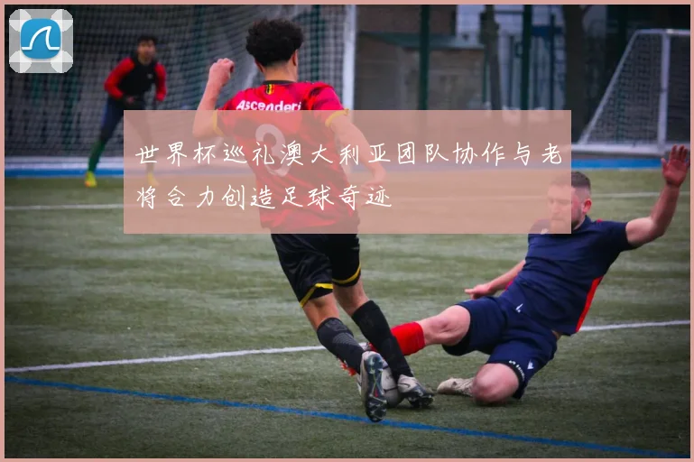 世界杯巡礼澳大利亚团队协作与老将合力创造足球奇迹