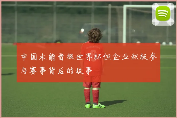 中国未能晋级世界杯但企业积极参与赛事背后的故事