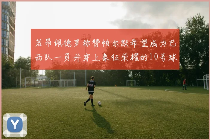 若昂佩德罗称赞帕尔默希望成为巴西队一员并穿上象征荣耀的10号球衣