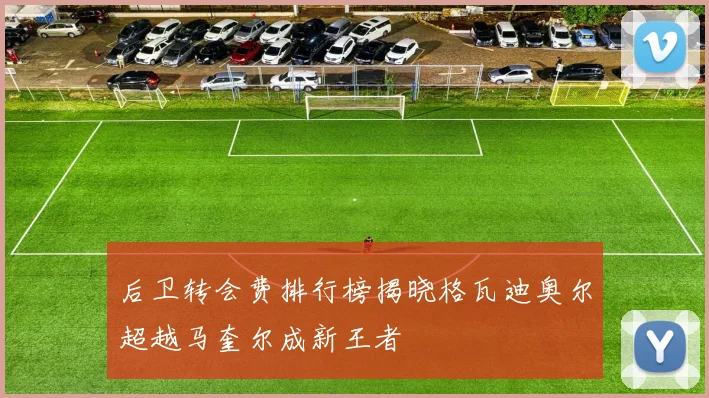后卫转会费排行榜揭晓格瓦迪奥尔超越马奎尔成新王者